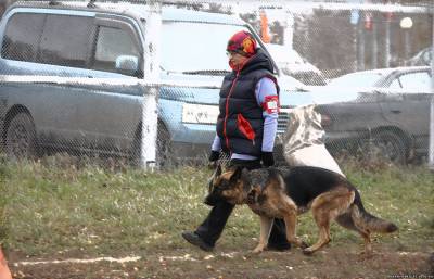 19  октября 2013 г. соревнования  УГС,  "ЛУЧШИЙ ЗАЩИТНИК"  г. Кемерово. S0364268